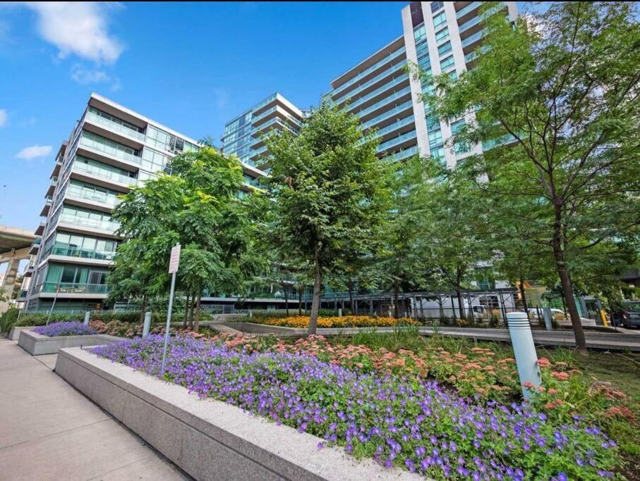 Cn Tower View With Free Parking, Pool, & More Amenities Toronto Buitenkant foto
